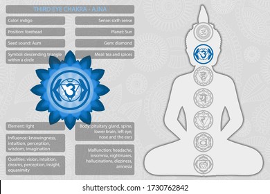 Chakras symbols with description of meanings infographic