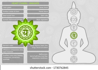 Chakras symbols with description of meanings infographic