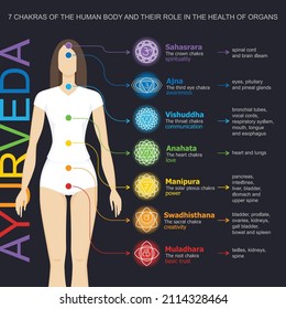 Chakras system with glands. Yogi woman. Vector flat style drawing Sahasrara, Ajna, Vishuddha, Anahata, Manipura, Svadhisthana, Muladhara with text about his glands. Ayurveda, Hinduism, Reiki, Yoga 