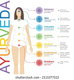 Chakras system with glands. Yogi woman. Vector flat style drawing Sahasrara, Ajna, Vishuddha, Anahata, Manipura, Svadhisthana, Muladhara with text about his glands. Ayurveda, Hinduism, Reiki, Yoga