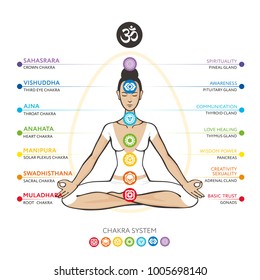 Chakras system of human body - used in Hinduism, Buddhism and Ayurveda. For design, associated with yoga - poster, banner. Vector Sahasrara, Ajna, Vishuddha, Anahata, Manipura, Swadhisthana, Muladhara