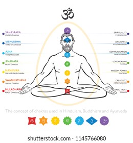 Chakras system of human body - used in Hinduism, Buddhism, Ayurveda. Flat style version. For design, associated with yoga. Vector Sahasrara, Ajna, Vishuddha, Anahata, Manipura, Swadhisthana, Muladhara