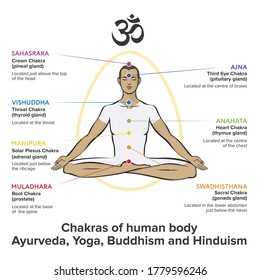 Chakras system of human body - used in Hinduism, Buddhism and Ayurveda. For design, associated with yoga - poster, banner. Vector Sahasrara, Ajna, Vishuddha, Anahata, Manipura, Swadhisthana, Muladhara