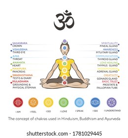 Chakras system of human body - used in Hinduism, Buddhism and Ayurveda. For design, associated with yoga - poster, banner. Vector Sahasrara, Ajna, Vishuddha, Anahata, Manipura, Swadhisthana, Muladhara