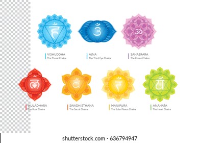 Sistema Chakras de cuerpo humano - usado en hinduismo, budismo y ayurveda. Para el diseño, asociado con el yoga - afiche, pancarta. Vector Sahasrara, Ajna, Vishuddha, Anahata, Manipura, Swadhisthana, Muladhara