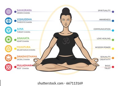 Chakras system of human body - used in Hinduism, Buddhism and Ayurveda. For design, associated with yoga - poster, banner. Vector Sahasrara, Ajna, Vishuddha, Anahata, Manipura, Swadhisthana, Muladhara