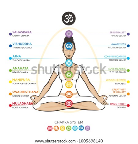 Kundalini Chakras In Human Body