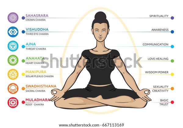 Chakras System Human Body Used Hinduism Stock Vector (royalty Free 