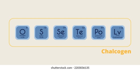 Chalcogens. The oxygen family. Periodic system of elements. Vector  illustration. Poster on the theme of chemistry. Oxygen, sulfur, selenium, tellurium, polonium. 