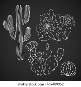 Chalk board black and white illustration of cactuses - vector illustration