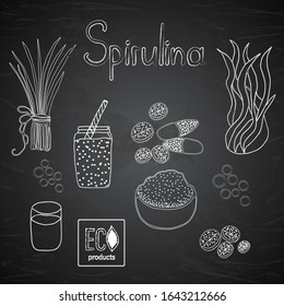 Chalk board with the image of spirulina in different forms. Smoothies, algae, pills with algae, spirulina powder. Vector illustration. 