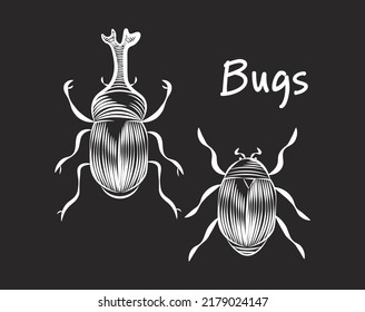 chalk Bugs, insects vector isolated illustration and lettering. Concept for logo, print, cards, fashion