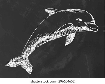 Chalk draw of dolphin. Vector illustration.