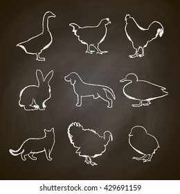 chalk drawing , farm animals and birds , vector graphics