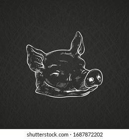 Chalk drawing of pig or piglet severed head, vector cartoon sketch illustration isolated on black background. Pork meat for butcher shop and restaurants menu emblem.