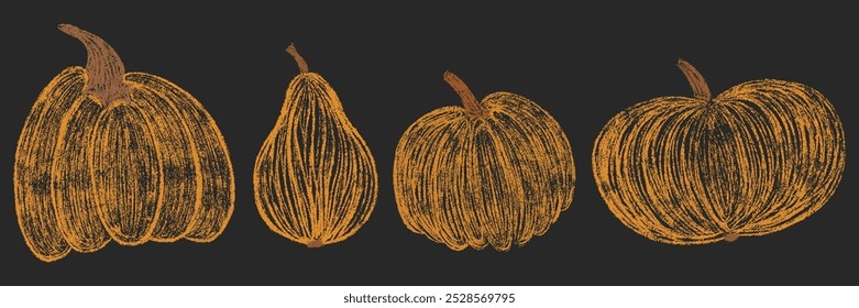 Chalk drawing pumpkins collection. Set of pencil hand drawn textured autumn pumpkin. Orange fall Halloween or Thanksgiving crayon freehand elements. Isolated vector illustration