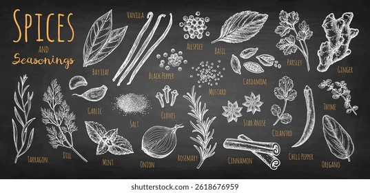 Chalk Drawings of Spices and Herbs. Big collection.
