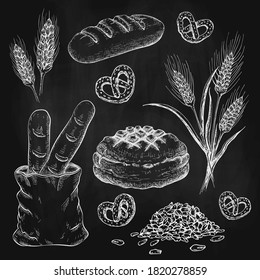 chalk drawn breads set on black chalkboard. chalk sketch of bread like french baguette, round rustic bread, wheat loaf, rye or wheat ears, grains and pretzels on black board. Vector illustration