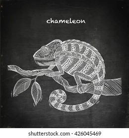 Chalk drawn Chameleon on leaf. Chalkboard vector stock illustration