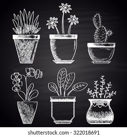  Chalk drawn set with different types of flowerpots (cactus, aloe, ficus, orchid, rosemary, chamomile). House theme.