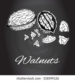 Chalk drawn sketch walnuts vector Black and white kitchen art, Kitchen decor, rustic background, Healthy cooking ingredients, Healthy snack Healthy diet Organic farm product on chalk board background 