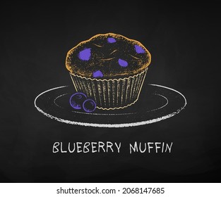 Chalk drawn vector illustration of Blueberry Muffin on plate. Isolated on black chalkboard background.
