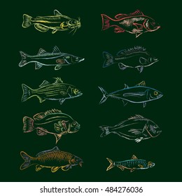 Chalk fishes