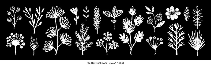 Chalk flower, vector plant, leaf, branch. Floral spring doodle set. Brush hand drawn flowers on chalkboard. Charcoal, pencil or crayon white elements on blackboard. Paint simple abstract silhouette bg