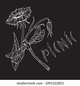 Chalk hand drawing. Element for a picnic-style Doodle on a black Board background. Flower and dragonfly, hand lettering picnic.