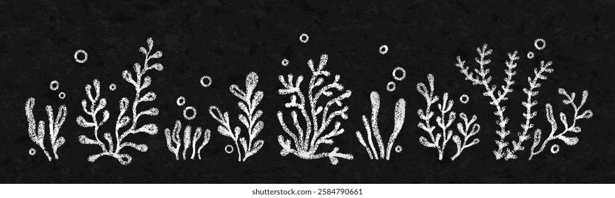 Chalk hand drawn sea coral and plants. White line underwater marine reef elements with crayon texture on school chalkboard. Cute doodle icons of ocean seaweed, vector illustration on grunge background