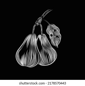 Chalk hand drawn vector illustration of a pears isolated on black background. Concept for logo, print, cards