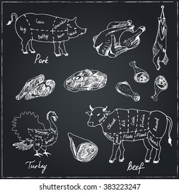 Chalk Illustration of a vintage graphic elements on the menu for meat steak. Cow, pig turkey divided into pieces of meat. Vector illustration.