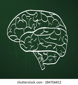 chalk painted brain