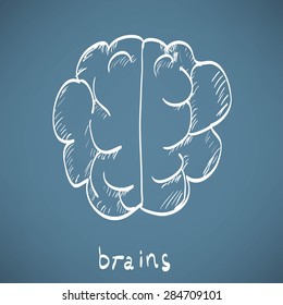 chalk painted brain