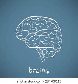 chalk painted brain