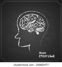 chalk painted brain vector illustration