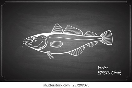 chalk painted cod fish on the black chalkboard vector illustration