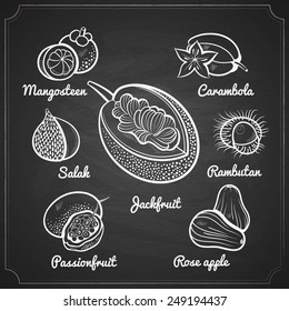 chalk painted exotic fruit set on black chalkboard vector illustration