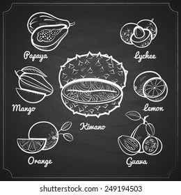 chalk painted exotic fruit set on black chalkboard vector illustration