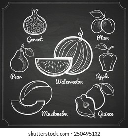 chalk painted exotic fruits set on black chalckboard vector illustration