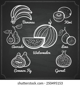 chalk painted exotic fruits set on black chalckboard vector illustration