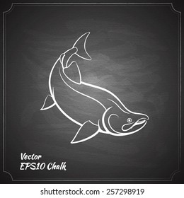 Chalk Painted Salmon Fish On The Black Chalkboard Vector Illustration