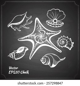 chalk painted starfish and seashells set on the black chalkboard vector illustration