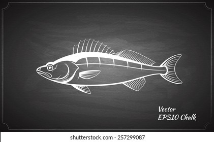 chalk painted walleye fish on the black chalkboard vector illustration