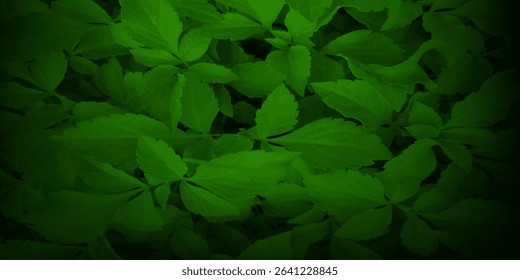 Chalk rubbed out on green chalkboard background