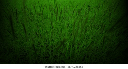 Chalk rubbed out on green chalkboard background