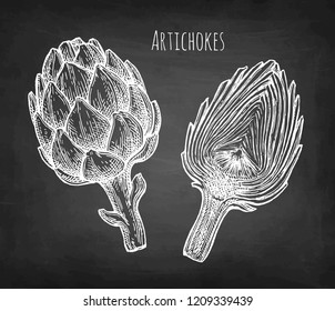 Chalk sketch of artichokes on blackboard background. Hand drawn vector illustration. Retro style.