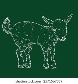 Chalk Sketch Baby Goat. Vector Side View Illustration