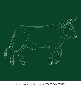 Chalk Sketch Bull. Vector Hand Drawn Illustration. Side View.