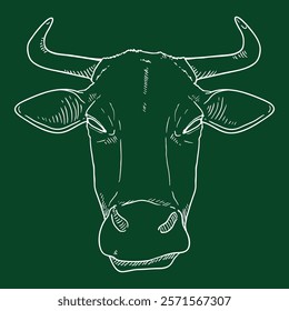 Chalk Sketch Cow Head. Vector Cattle Illustration. Front View.